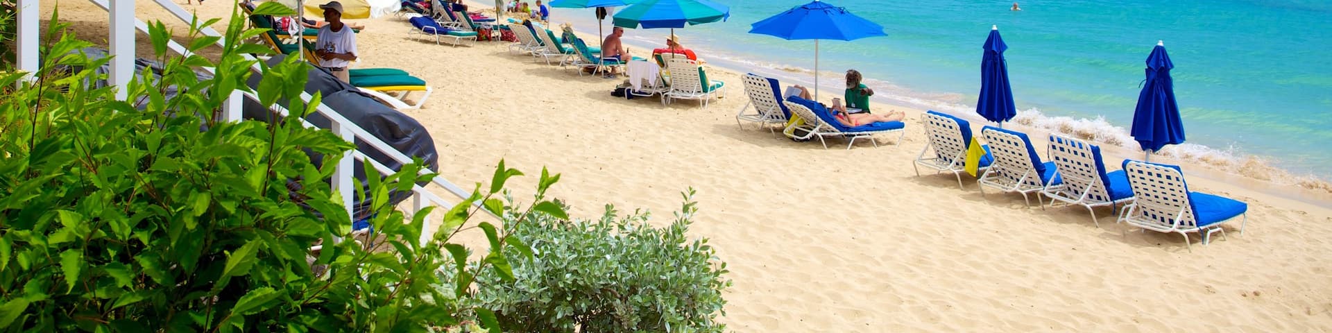 Mullins Beach which includes tropical scenes and a sandy beach