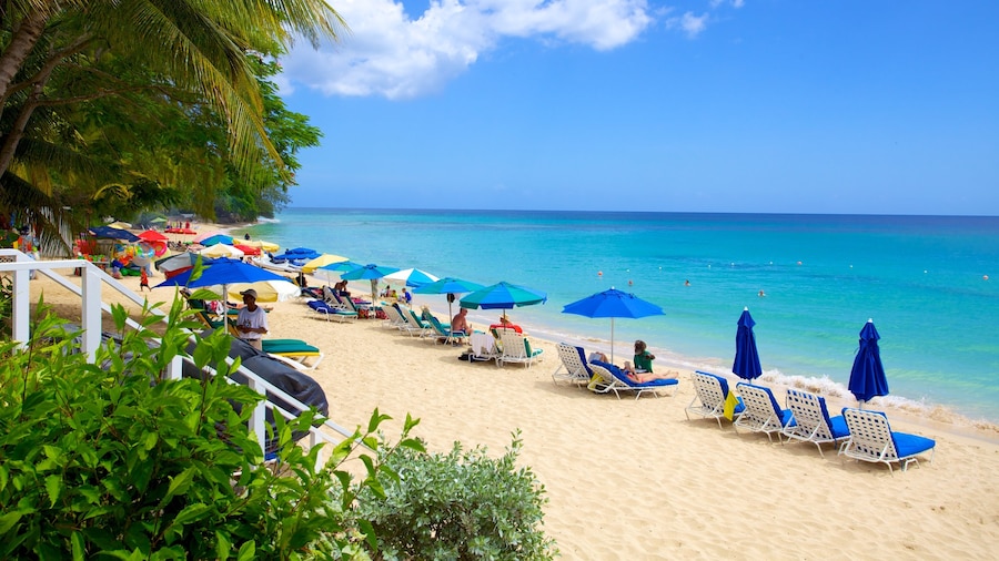 Mullins Beach featuring tropical scenes and a sandy beach