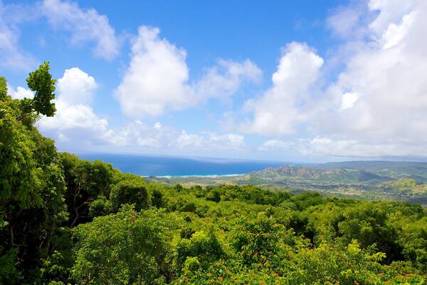 Barbados Wildlife Reserve welches beinhaltet Wälder und Landschaften