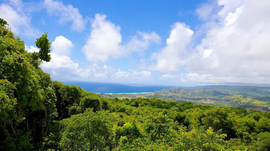 Barbados Wildlife Reserve which includes landscape views and forests