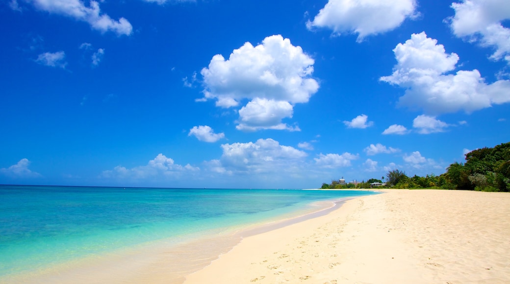 Brighton Beach which includes a beach and landscape views