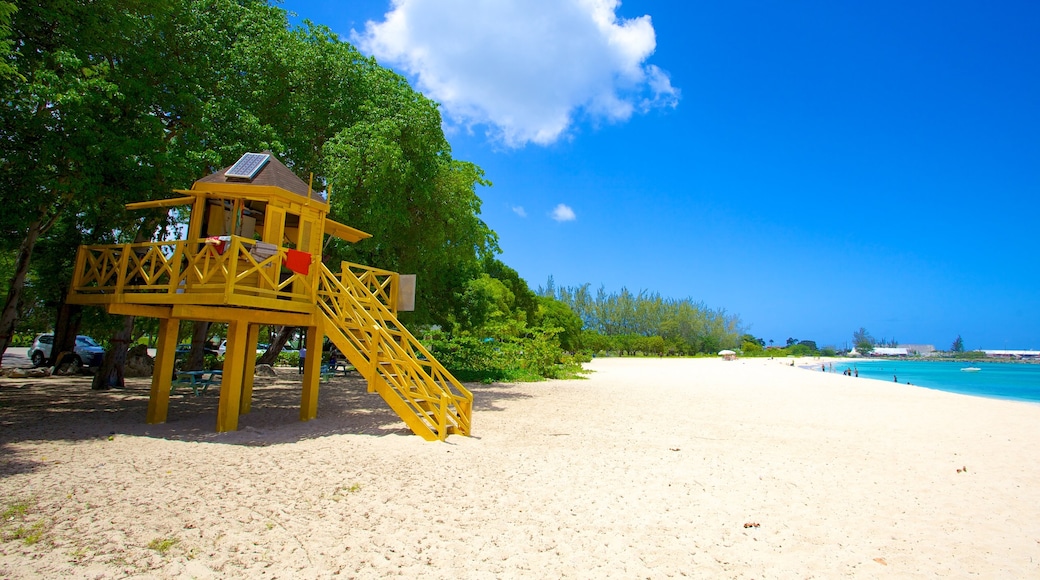 Brighton Beach which includes a sandy beach