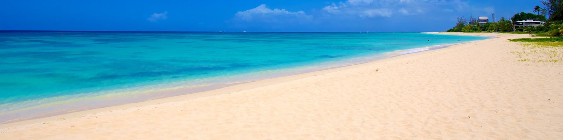 Brighton Beach which includes a sandy beach, tropical scenes and landscape views