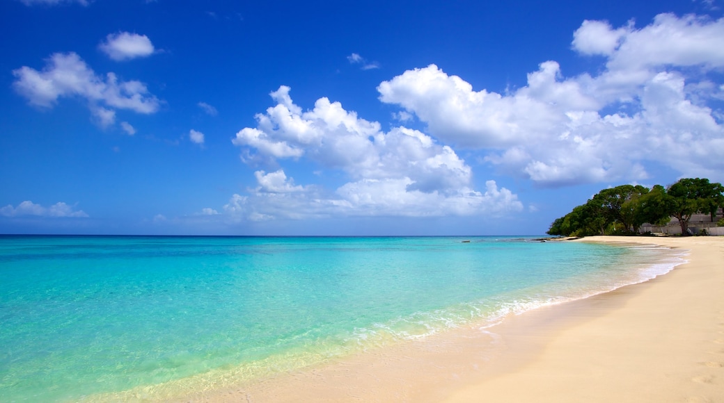 Paradise Beach which includes a sandy beach, landscape views and tropical scenes