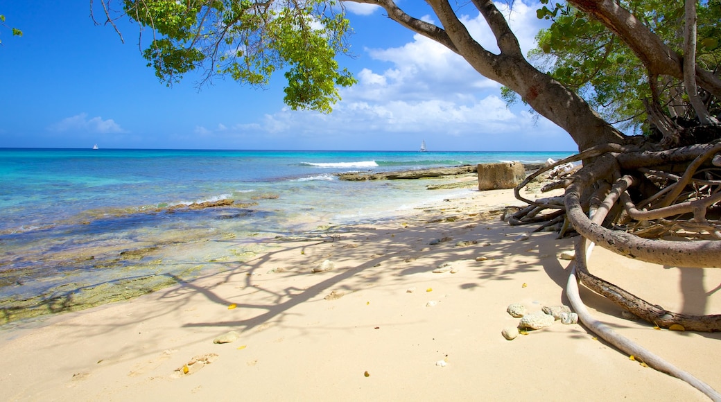 Paradijsstrand toont tropische uitzichten, landschappen en een strand