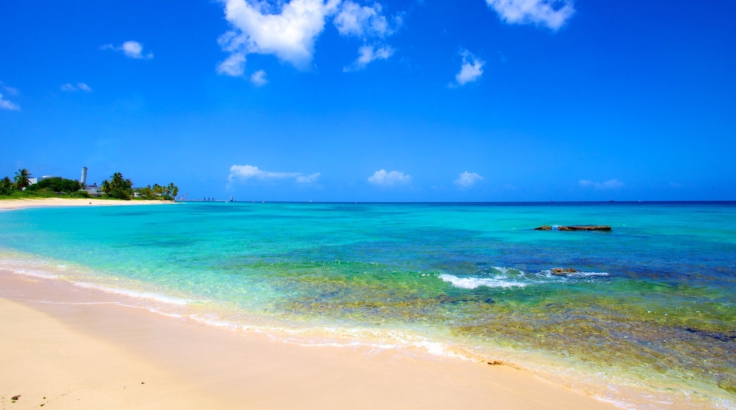 Paradise Beach featuring a sandy beach, landscape views and tropical scenes