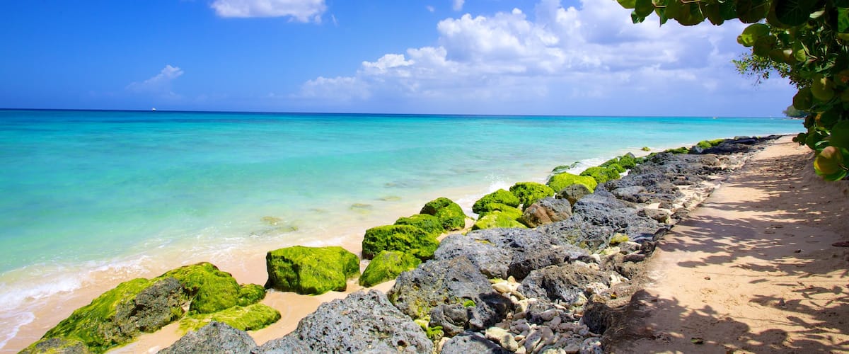 Plage de Paradise