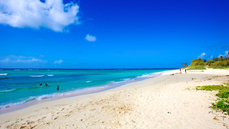 Barbados que incluye una playa de arena, escenas tropicales y natación