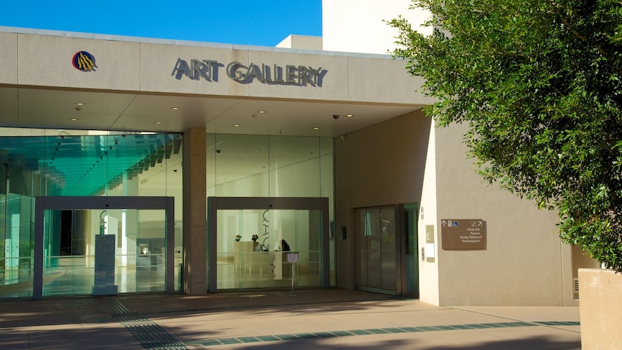 Queensland Art Gallery som inkluderar skyltar, konst och en stad