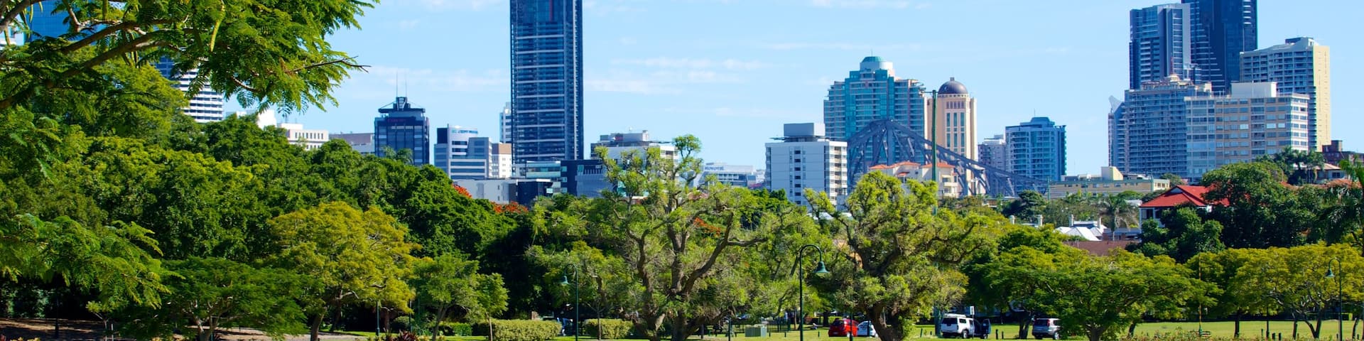 New Farm Park showing a park, landscape views and a high rise building