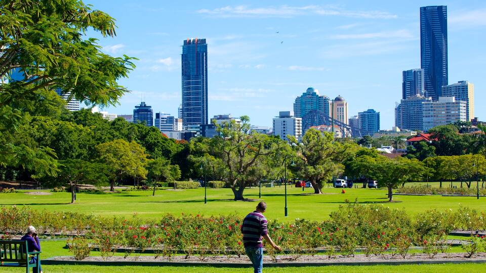 New Farm Park showing a garden, a high-rise building and landscape views