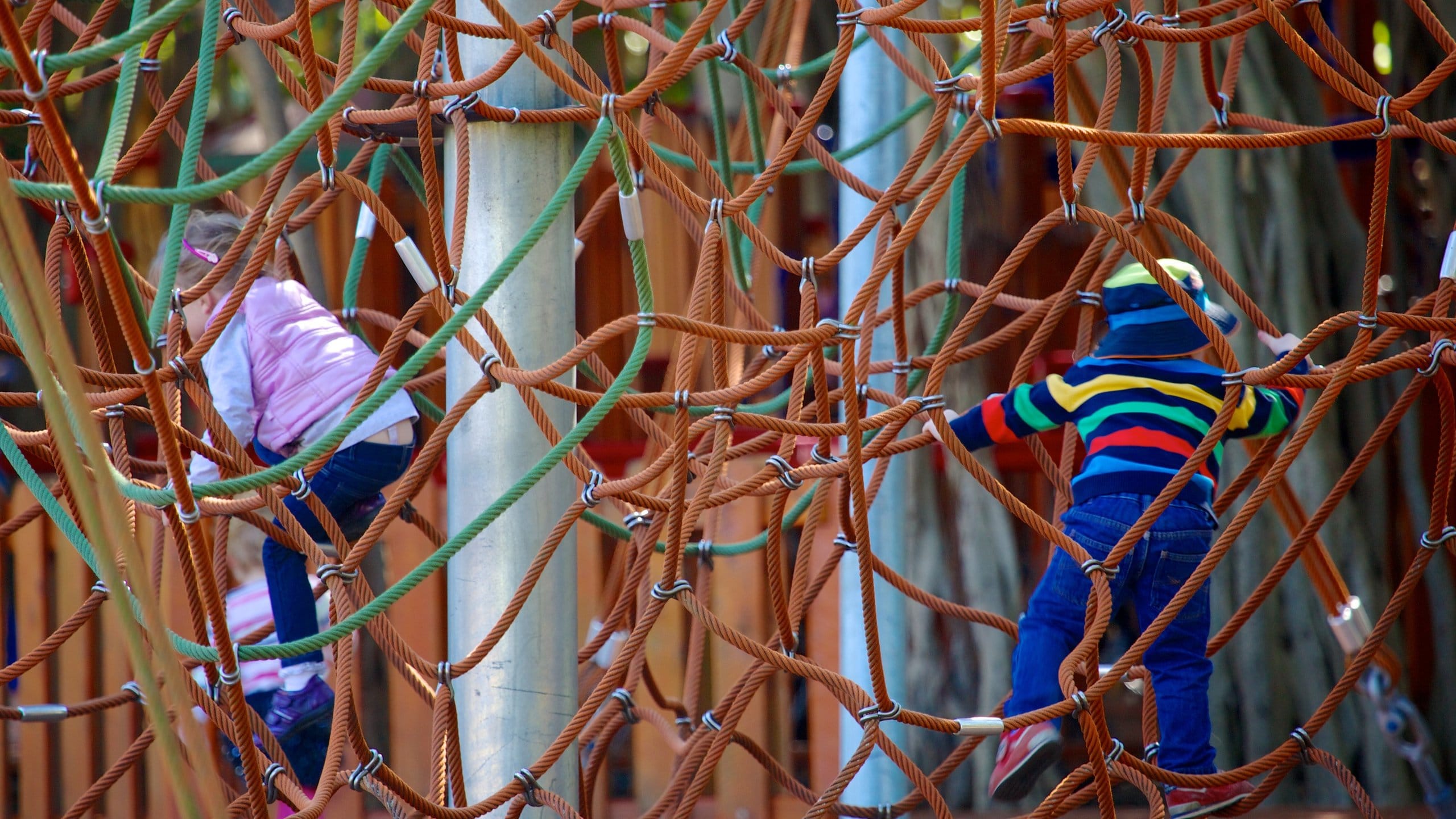New Farm Park featuring a playground as well as children