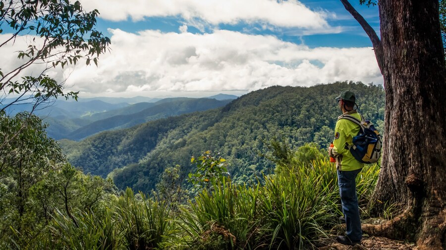 Barrington Tops National Park showing landscape views, mountains and hiking or walking