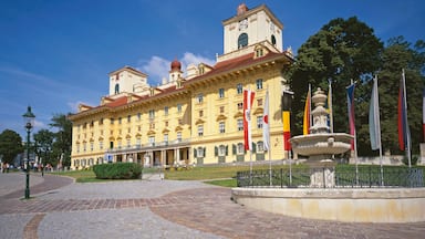 Eisenstadt toont een overheidsgebouw, een stad en historische architectuur