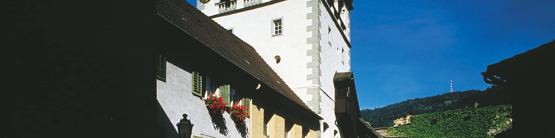 Bregenz showing heritage architecture, a small town or village and night scenes
