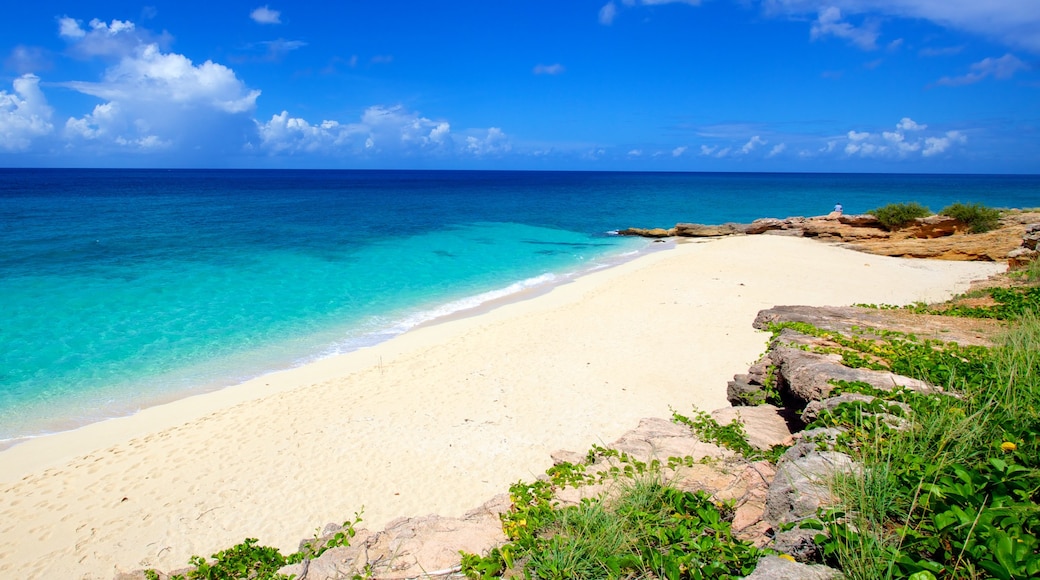 Sint Maarten