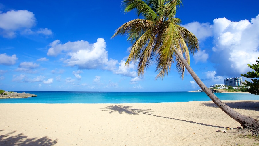 Mullet Beach featuring tropical scenes, landscape views and a beach