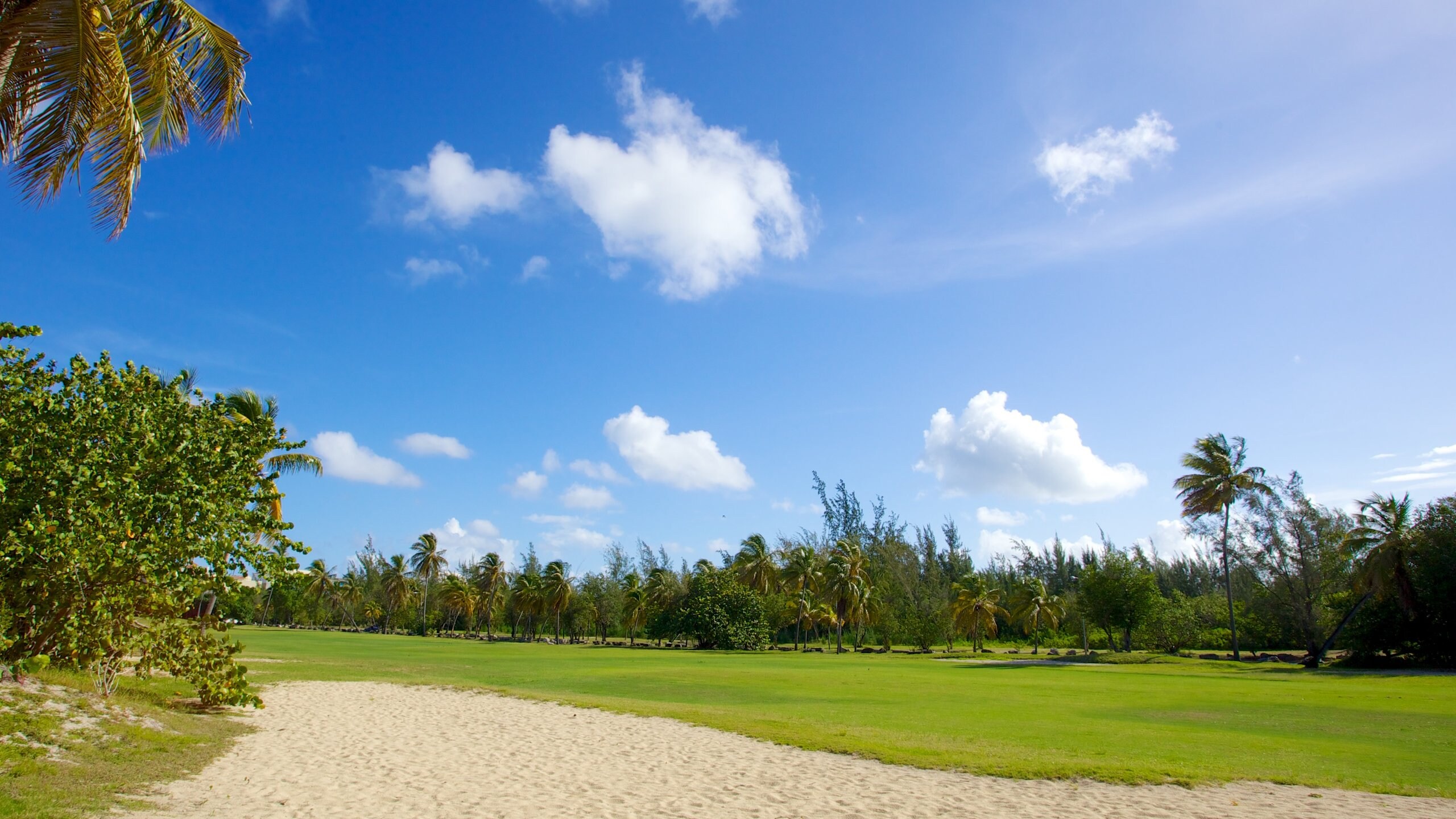Mullet Bay Beach in Maho - Tours and Activities | Expedia