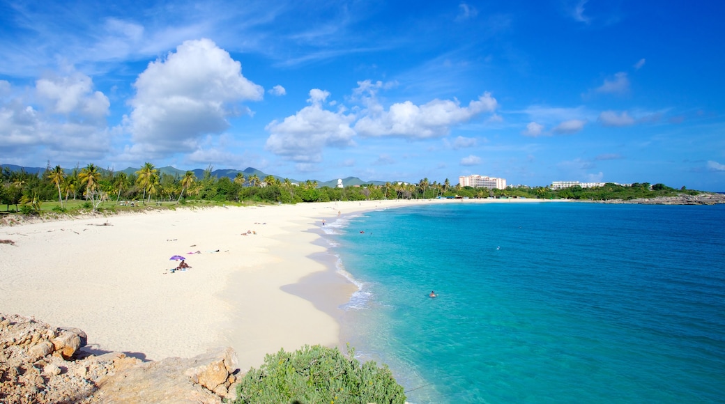Mullet Beach showing tropical scenes, general coastal views and a sandy beach