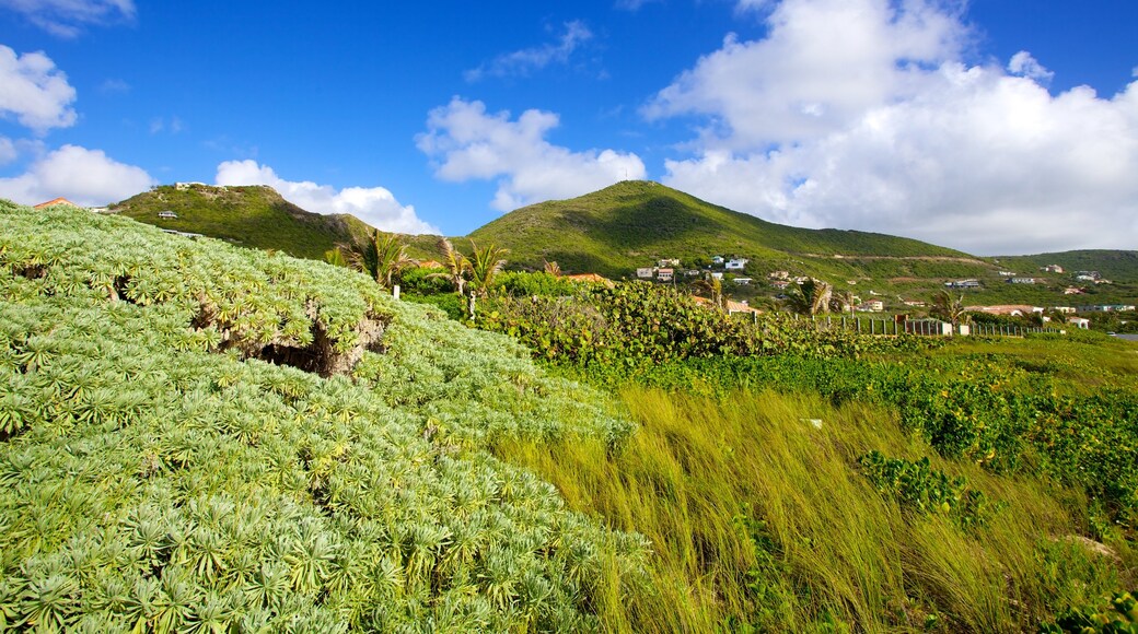 Guana Bay Beach inclusief landschappen en vredige uitzichten