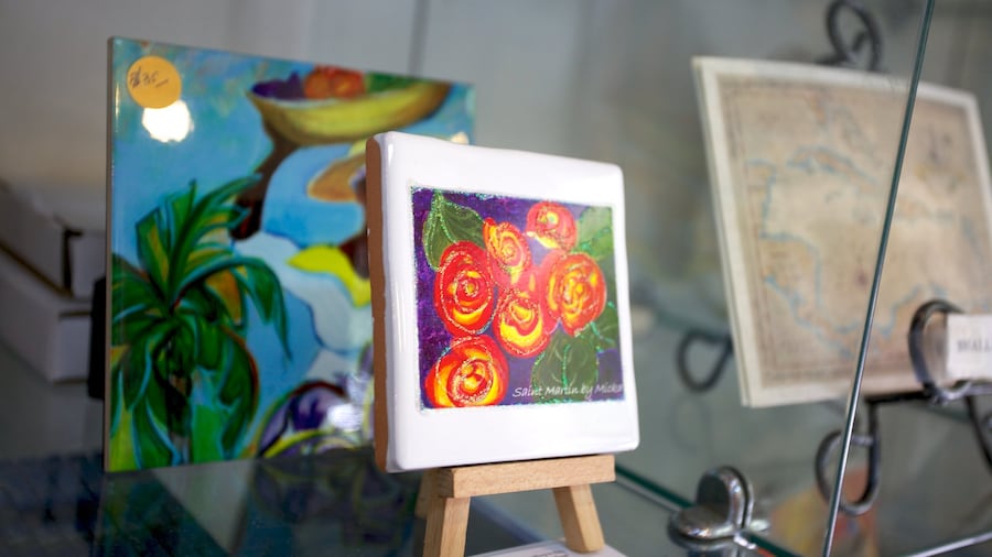 Museum of Sint Maarten showing interior views and art