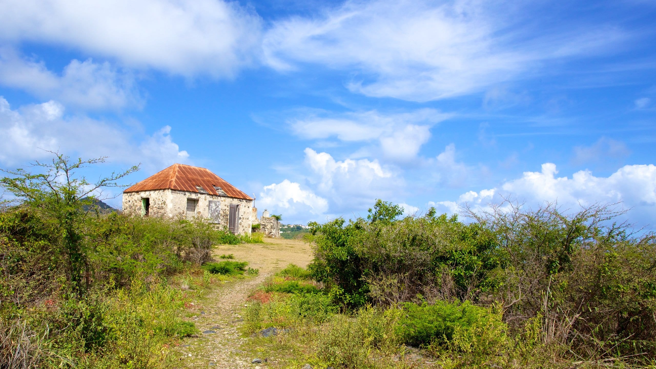 Fort Amsterdam showing wildflowers and heritage architecture