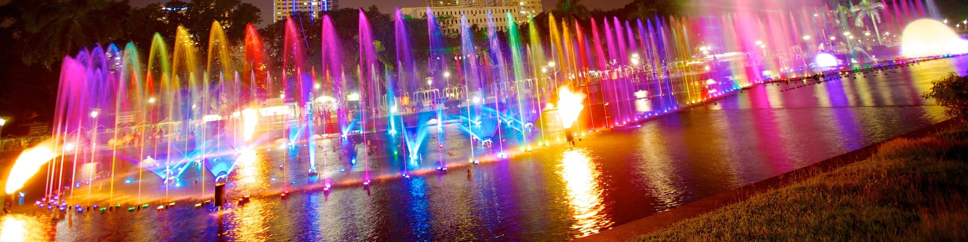 Rizal Park featuring night scenes, a garden and a fountain