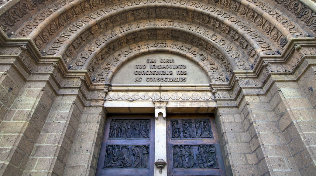 Manila Cathedral showing a church or cathedral, signage and heritage architecture