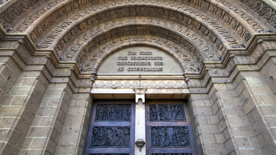 Manila Cathedral showing heritage architecture, religious aspects and signage