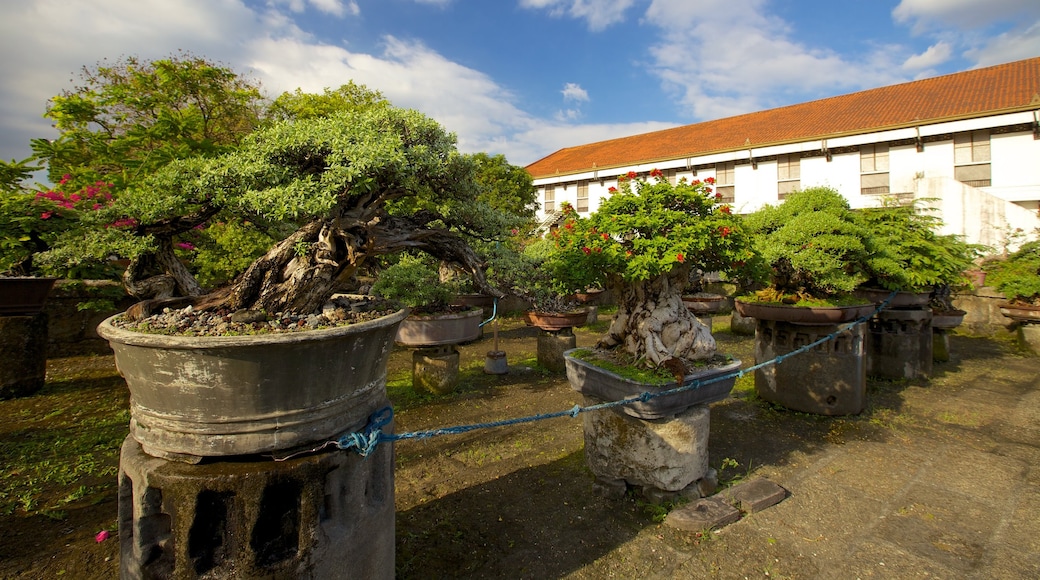 Baluarte de San Diego showing heritage elements and a garden