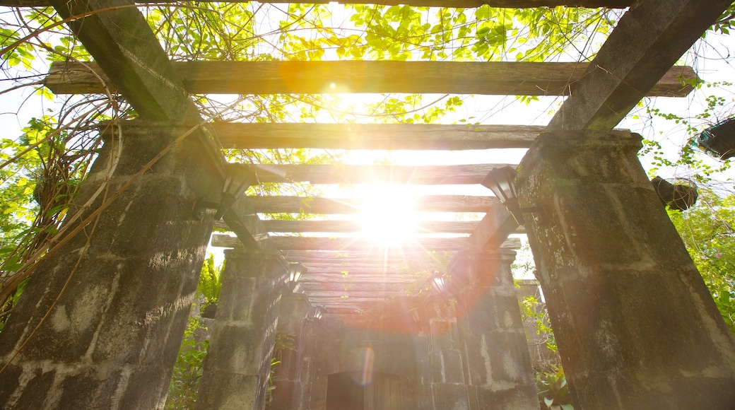 聖地亞哥城堡 呈现出 傳統元素 和 花園