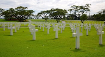 Manila which includes a cemetery