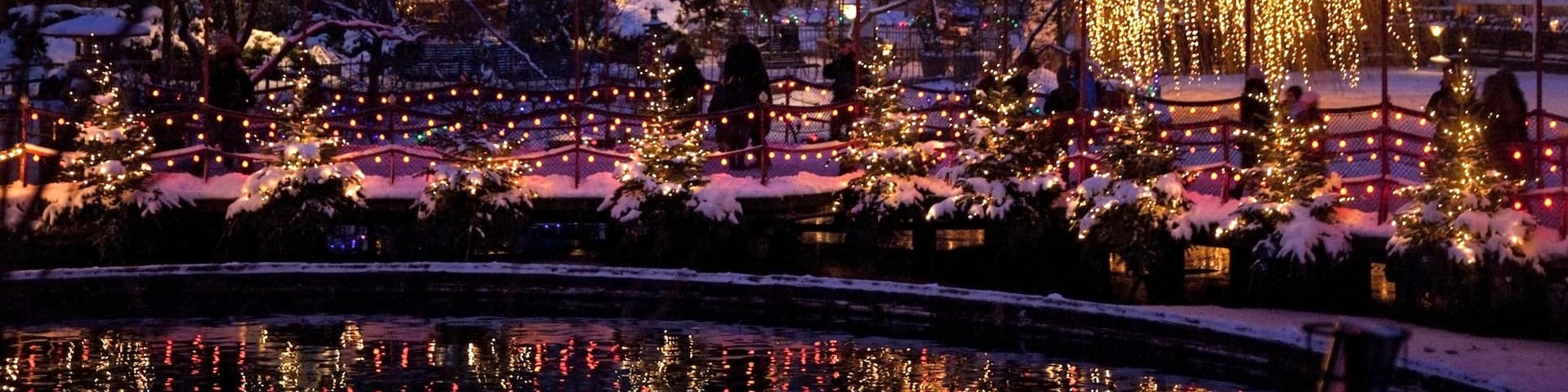 Tivoli Gardens which includes night scenes, a pond and a park