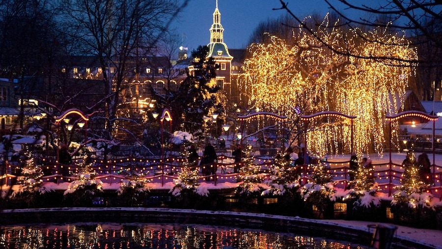 Tivoli Gardens which includes night scenes, a pond and a park