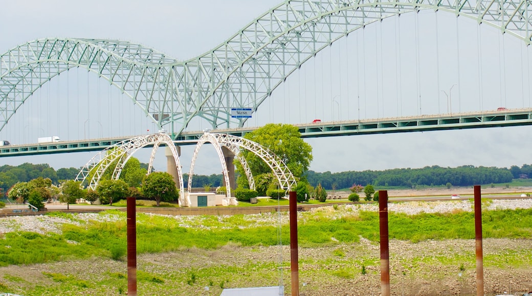 Memphis mostrando un puente y arquitectura moderna