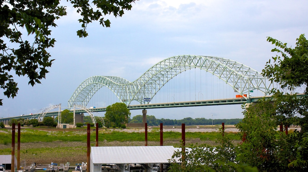 Memphis mostrando un puente y arquitectura moderna