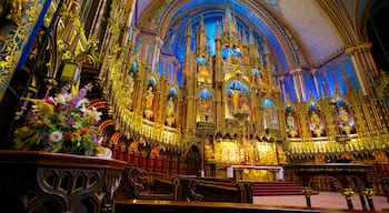 Basilique Notre-Dame mettant en vedette église ou cathédrale, éléments religieux et vues intérieures