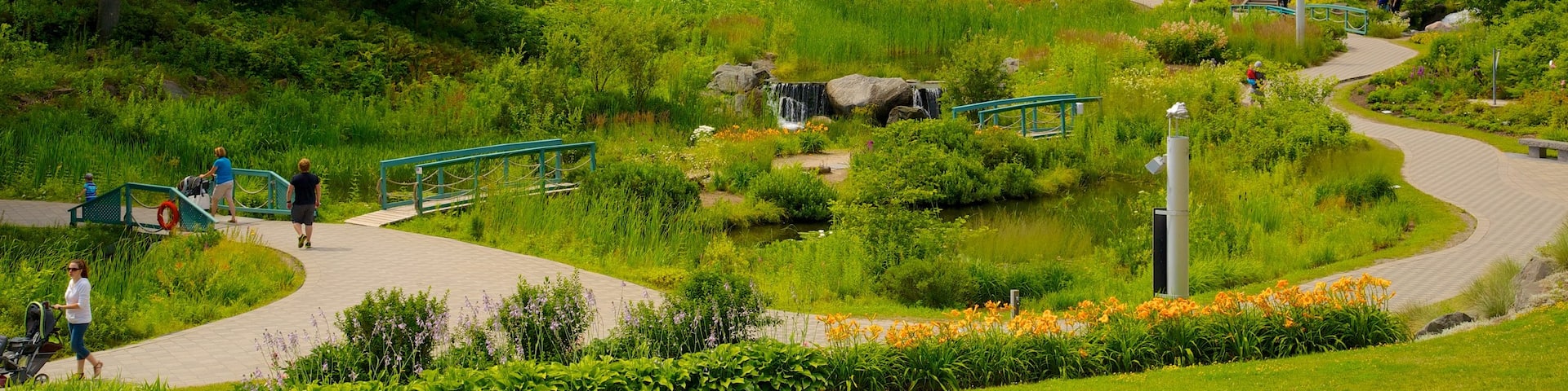 Quebec Aquarium Park featuring a park and a bridge