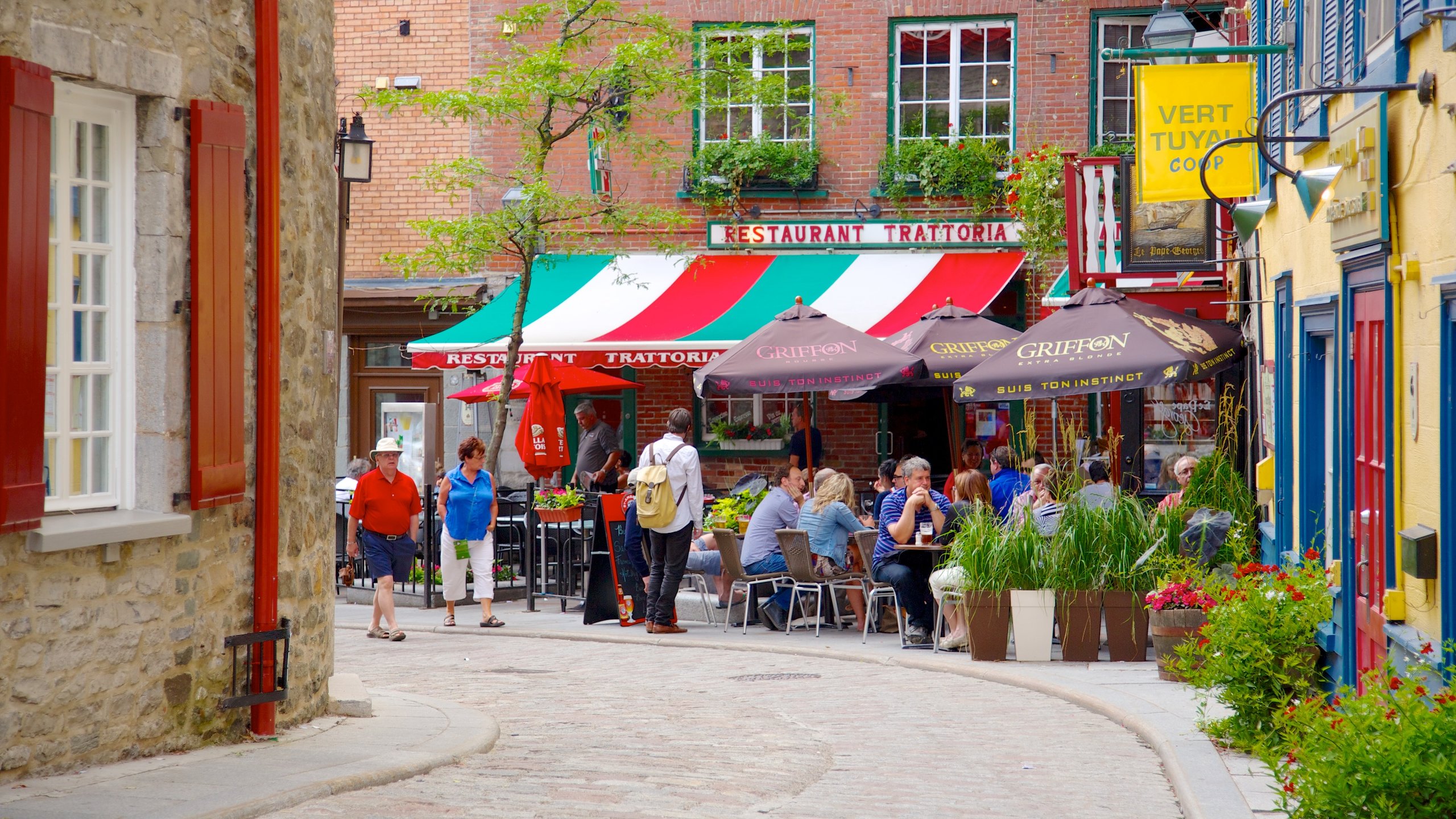 Old Quebec showing signage, a small town or village and street scenes