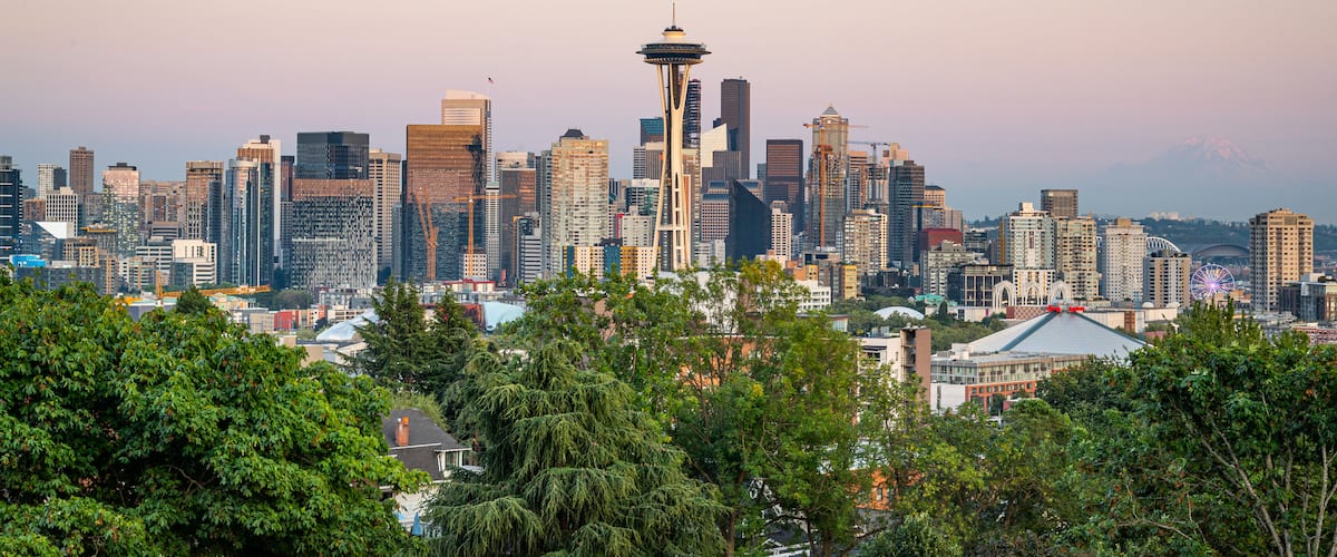 Seattle showing a city, a sunset and landscape views