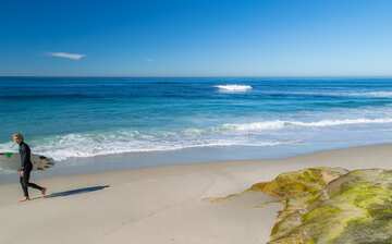 Windansea Beach La Jolla Attraction Expedia Com Au Windansea Beach La Jolla Attraction Expedia Com Au