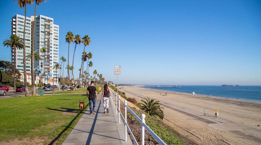 City Beach which includes cuddly or friendly animals, general coastal views and a beach