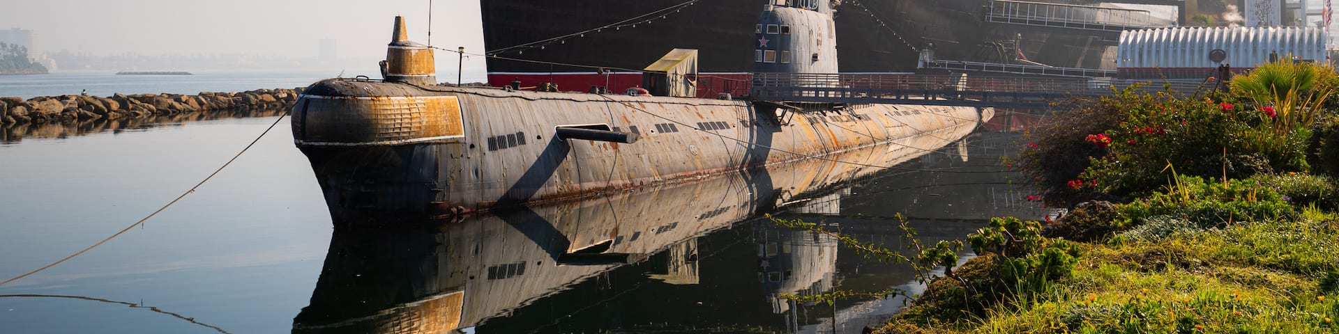 RMS Queen Mary featuring a marina