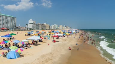 Virginia Beach showing a beach, general coastal views and a coastal town