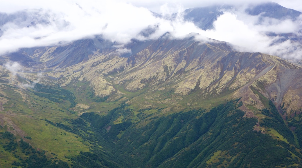 Wrangell-St. Elias National Park and Preserve featuring mountains and landscape views