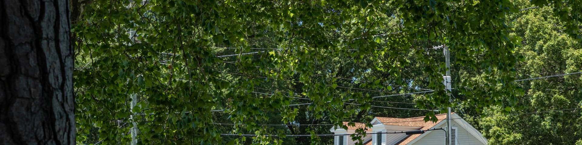 Churchland showing a garden and a house