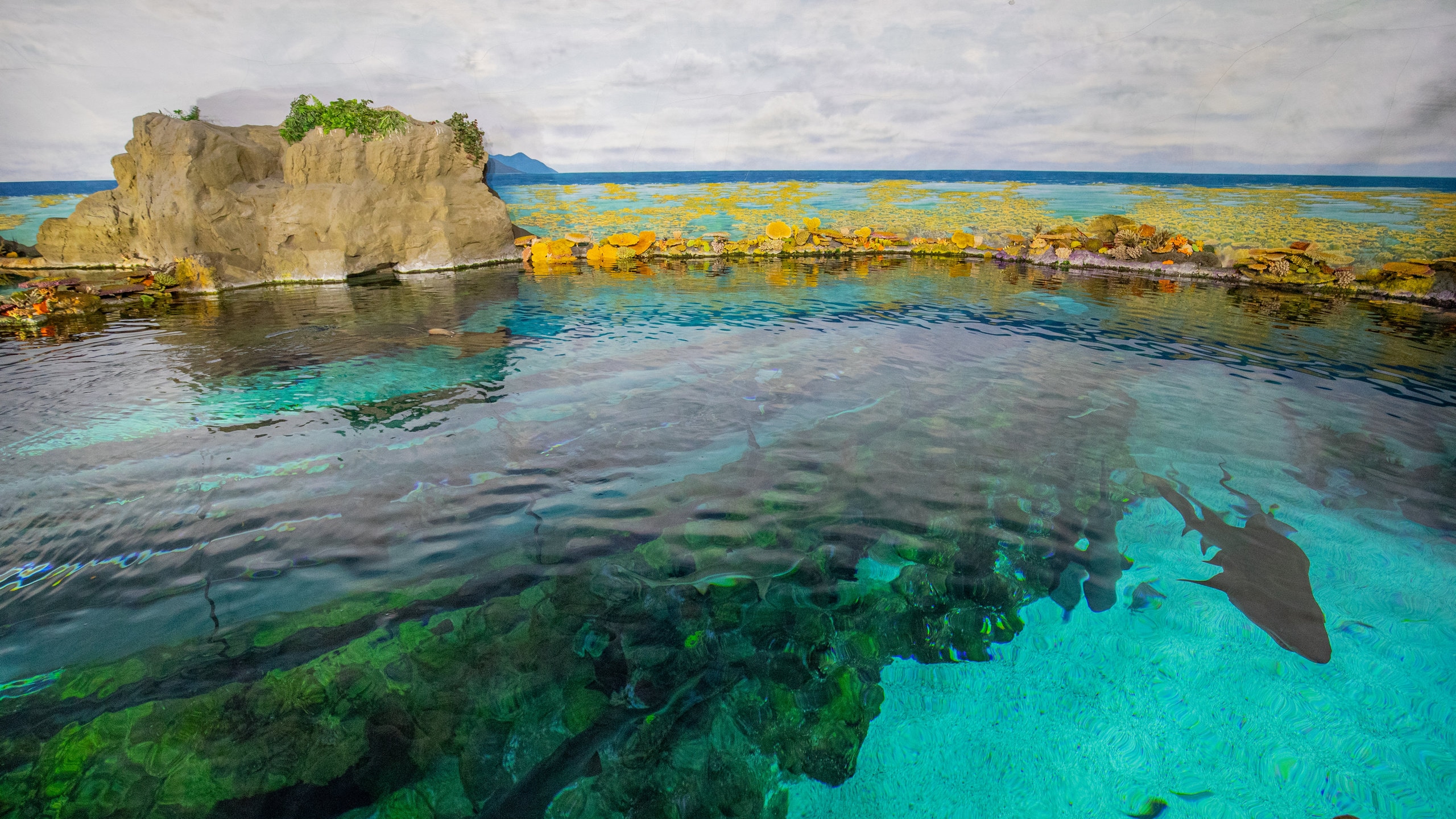 SeaWorld, San Diego Vacation Rentals house rentals & more Vrbo