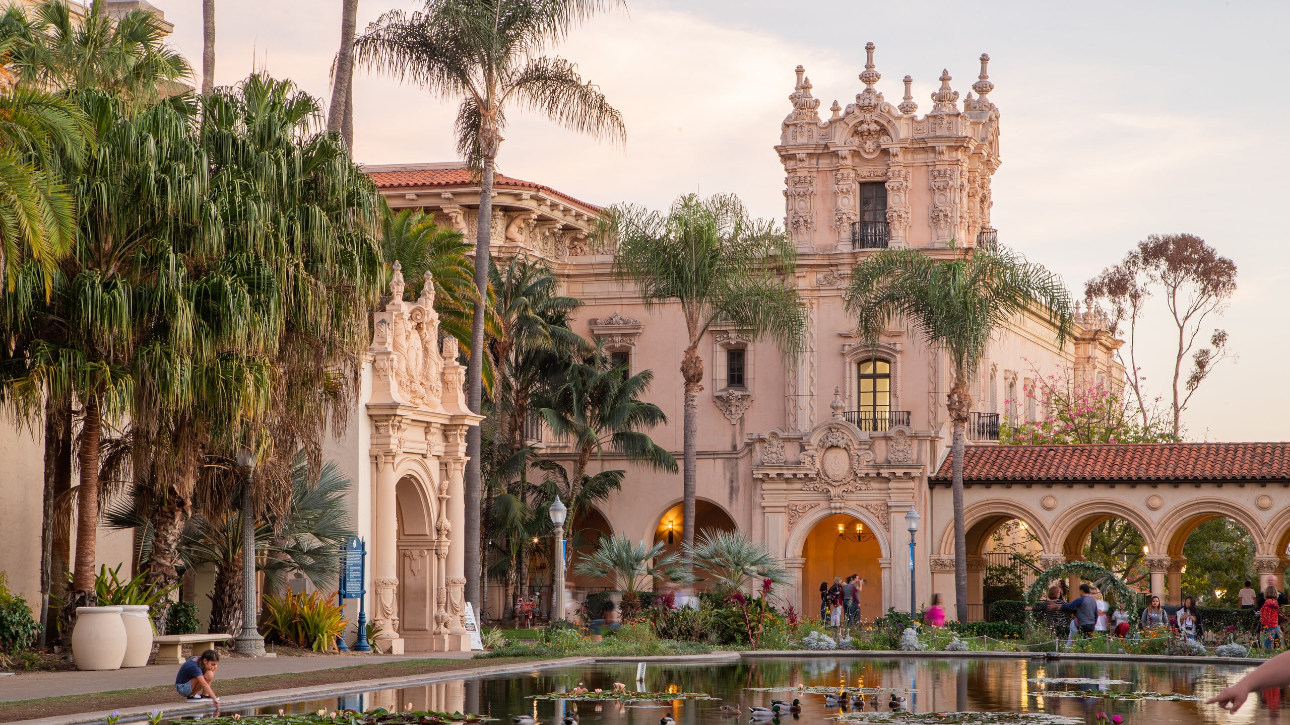 are dogs allowed in balboa park museums