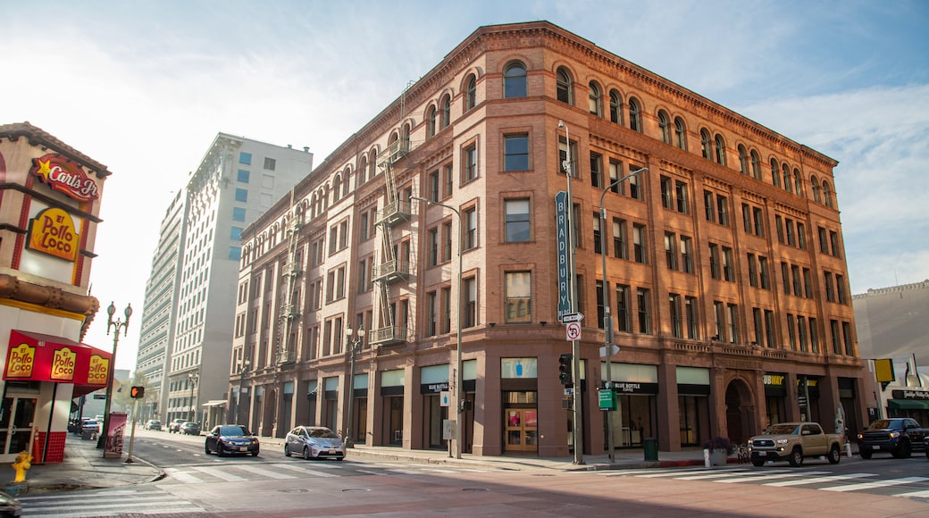 Bradbury Building