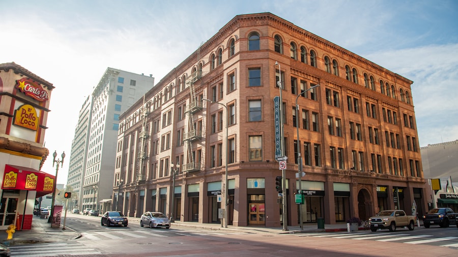 Bradbury Building